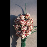 Candy Cane Bouquet